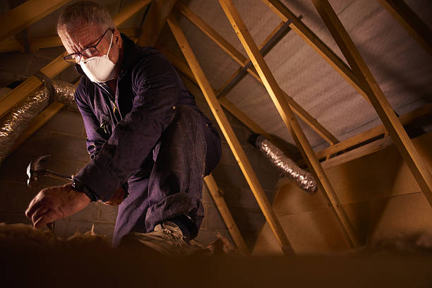 Garage Insulation Installation in Brigham City, UT